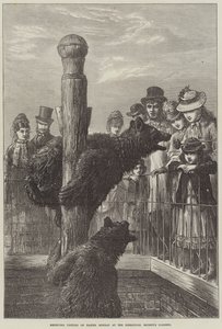 Réception des visiteurs le lundi de Pâques aux jardins de la Société zoologique - Ebenezer Newman Downard